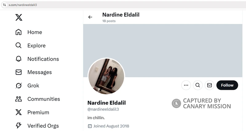 Nardine Eldalil_#8