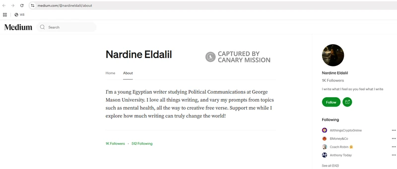 Nardine Eldalil_#9
