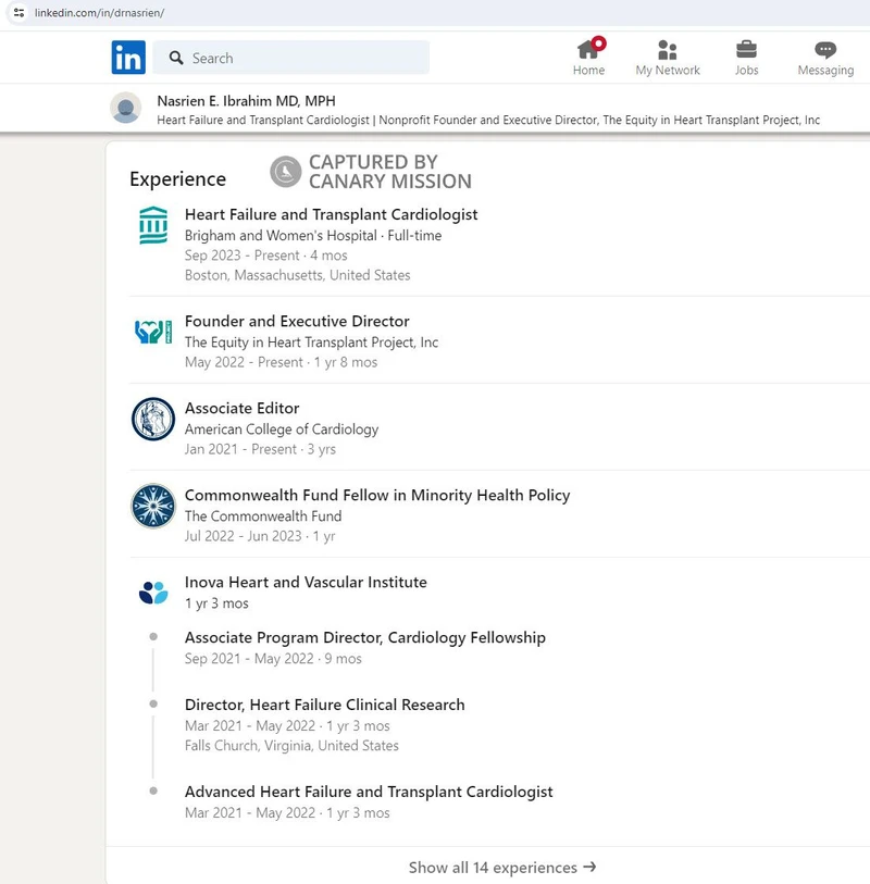 Nasrien Ibrahim cm17 LinkedIn_#18