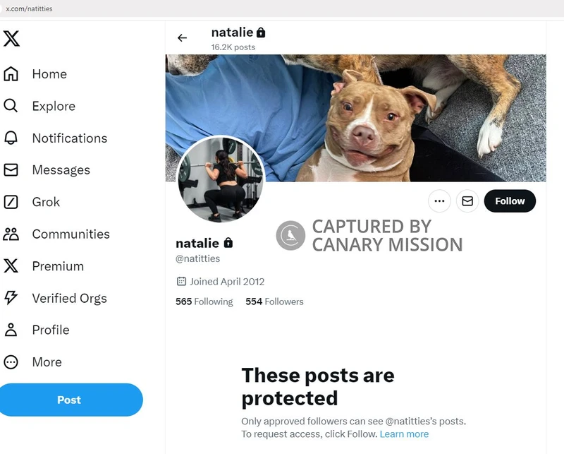 Natalie Abulhawa cm47a X_#71