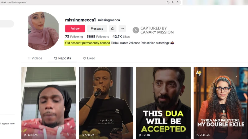 Naziha_Mustafa_Feb_6_2025_TikTok.png_#7
