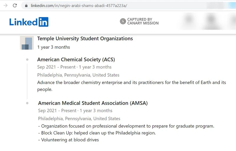 Negin Abadi cm12 LinkedIn_#14