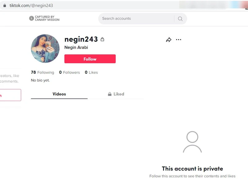 Negin Abadi cm19 TikTok_#23