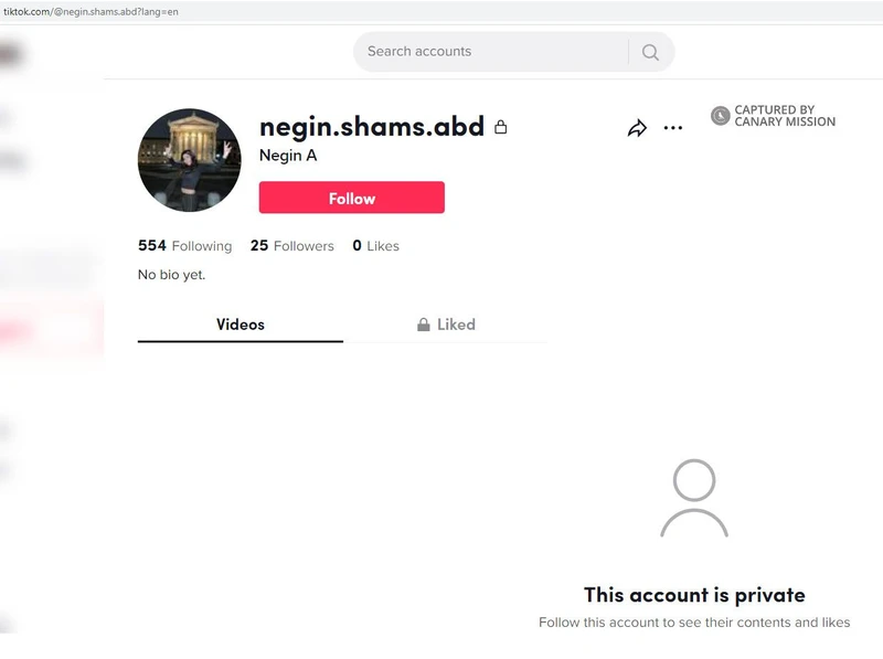 Negin Abadi cm19a TikTok_#24