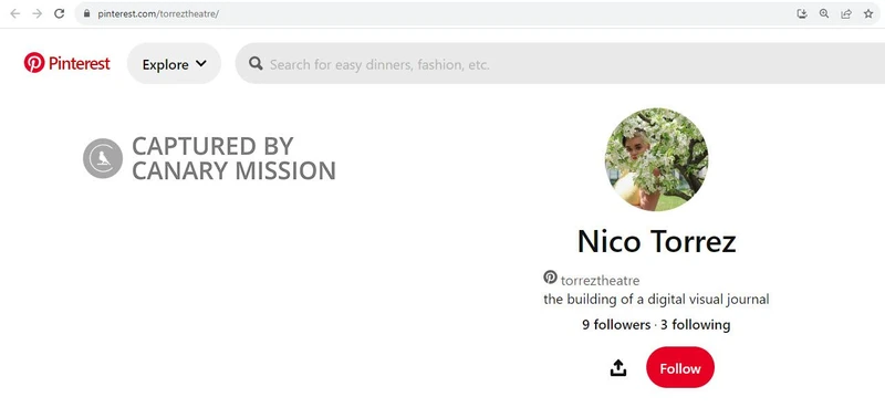 Nico Torrez cm09 Pinterest_#11