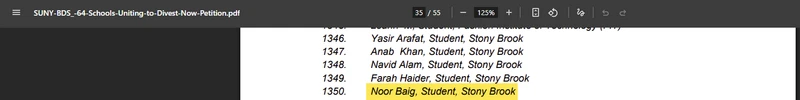 Noor Baig_#1