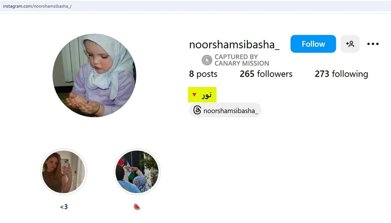 Noor Shamsi-Basha cm10 Instagram_#15