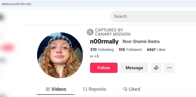 Noor Shamsi-Basha cm13 TikTok_#18
