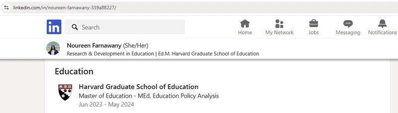 Noureen Farnawany_#2
