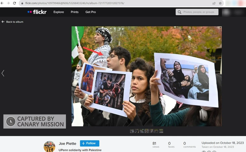 Omar Elsakhawy cm10a flickr.com_#13