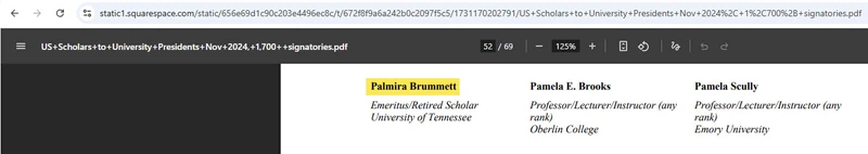Palmira_Brummett_Nov_2024_static1.squarespace.com_1.jpg   _#1