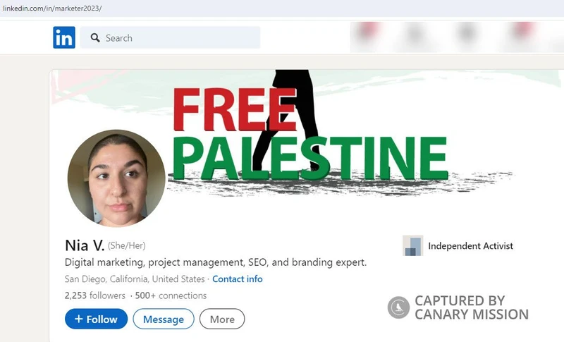 Parnia Vafaei cm08 LinkedIn_#11