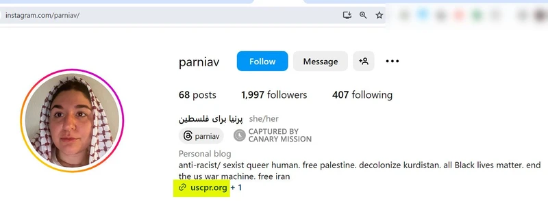 Parnia Vafaei cm11 Instagram_#14