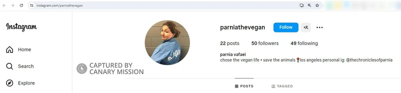 Parnia Vafaei cm13 Instagram_#16