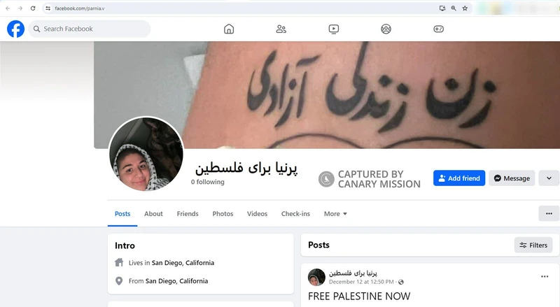 Parnia Vafaei cm14 Facebook_#18