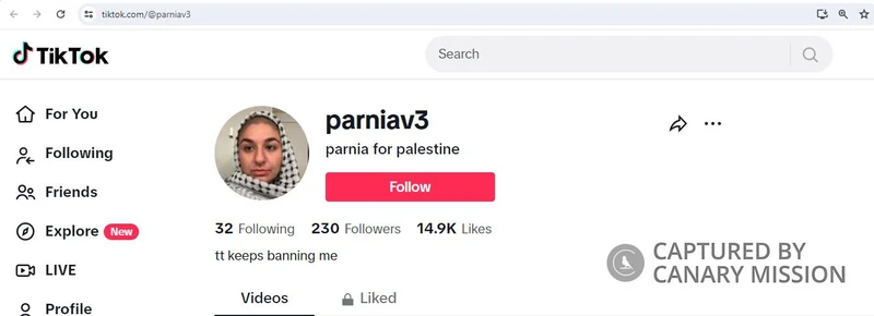 Parnia Vafaei cm16 TikTok_#20