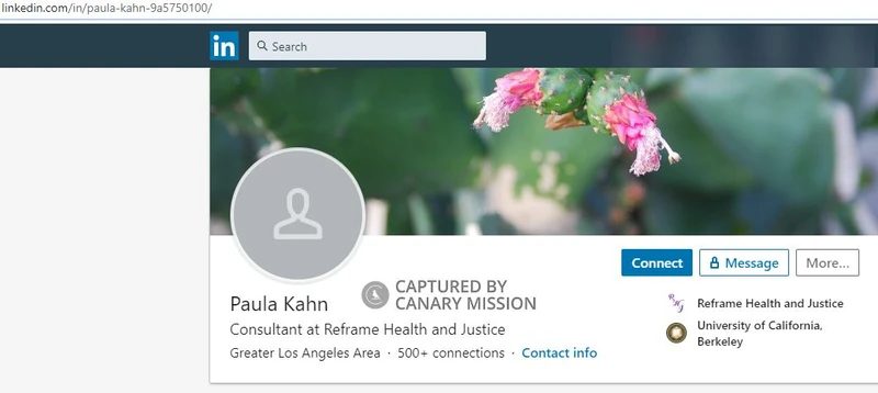 Paula Kahn cm10a LinkedIn_#13