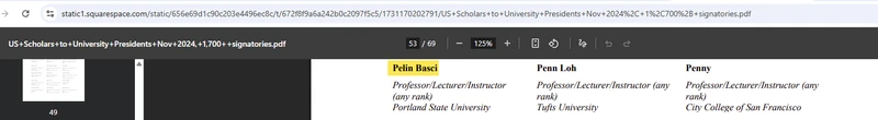 Pelin_Basci_Nov_2024_static1.squarespace.com_1.png _#1