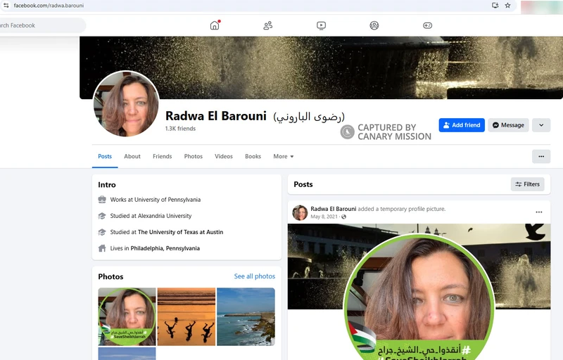 Radwa El Barouni_#4