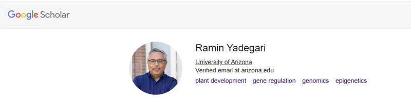 Ramin Yadegari_#13