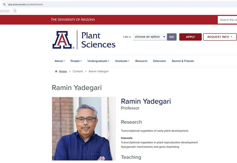 Ramin Yadegari_#8