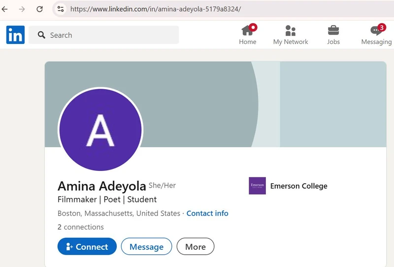 Amina_Adeyola_Apr_28_2025_LinkedIn_#1