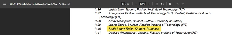 Sadie_Lopez-Reiss_Jan_15_2024.amchainitiative.org.png _#1