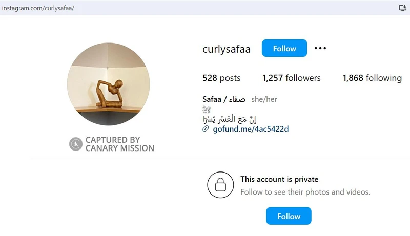 Safaa Alnabelseya cm12 Instagram_#17