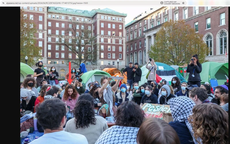 Safia Southey cm01c aljazeera.net_#3