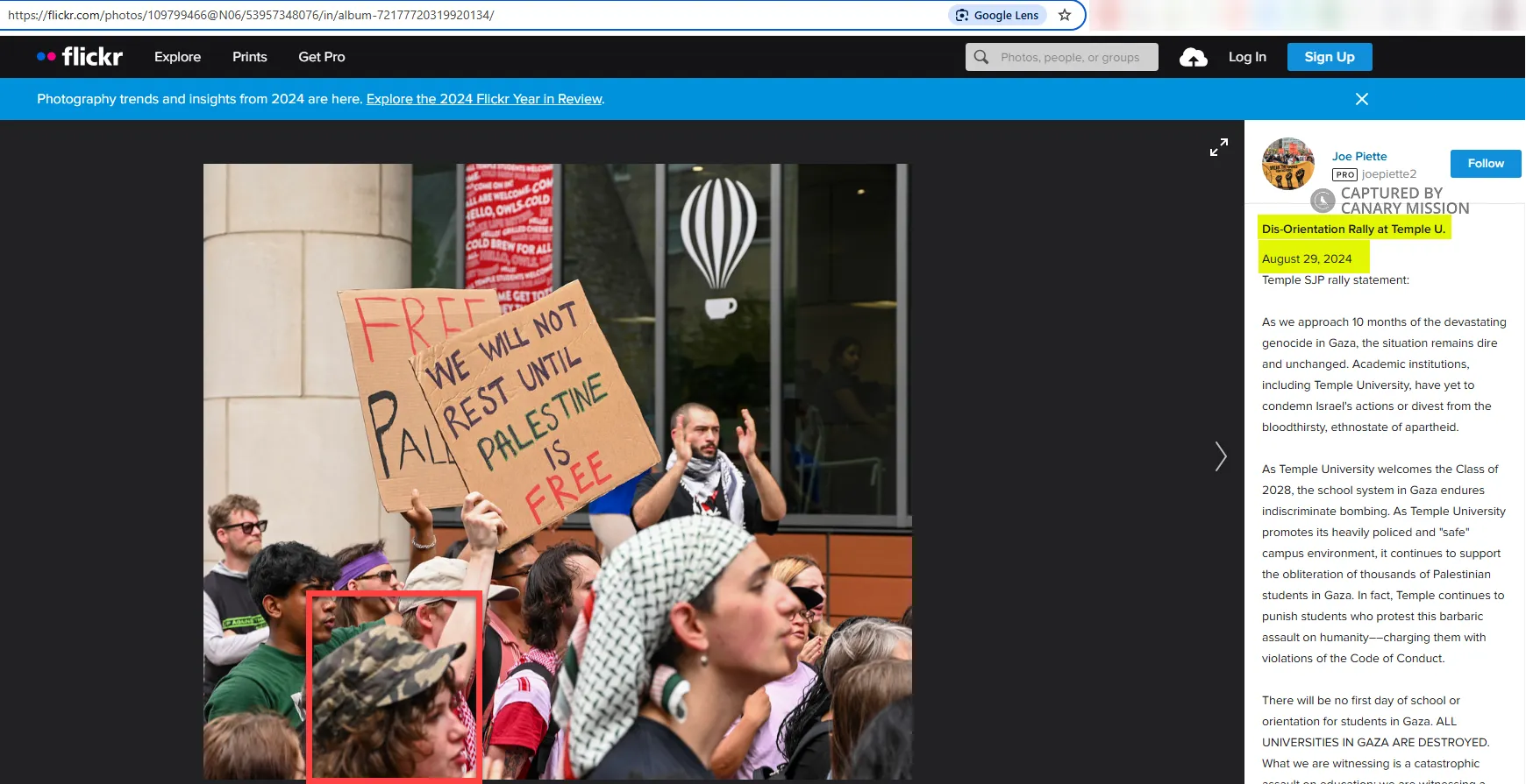 disorientation rally_Thistle.png