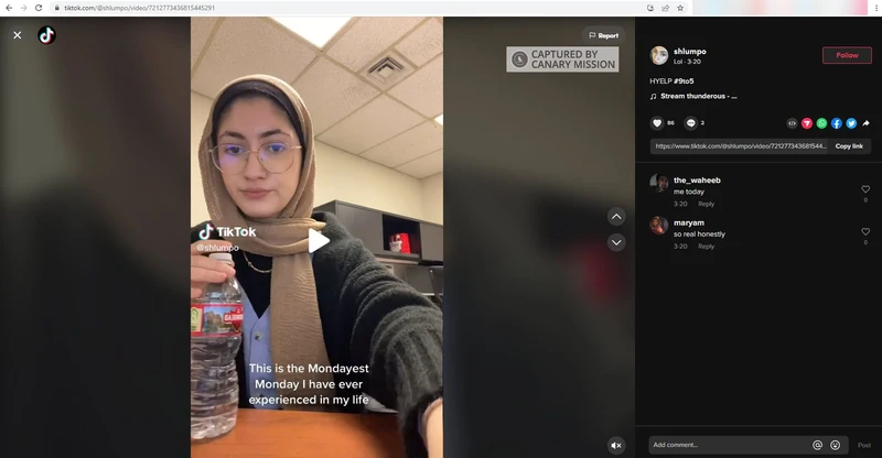 Salma Alayleh cm17 TikTok_#19