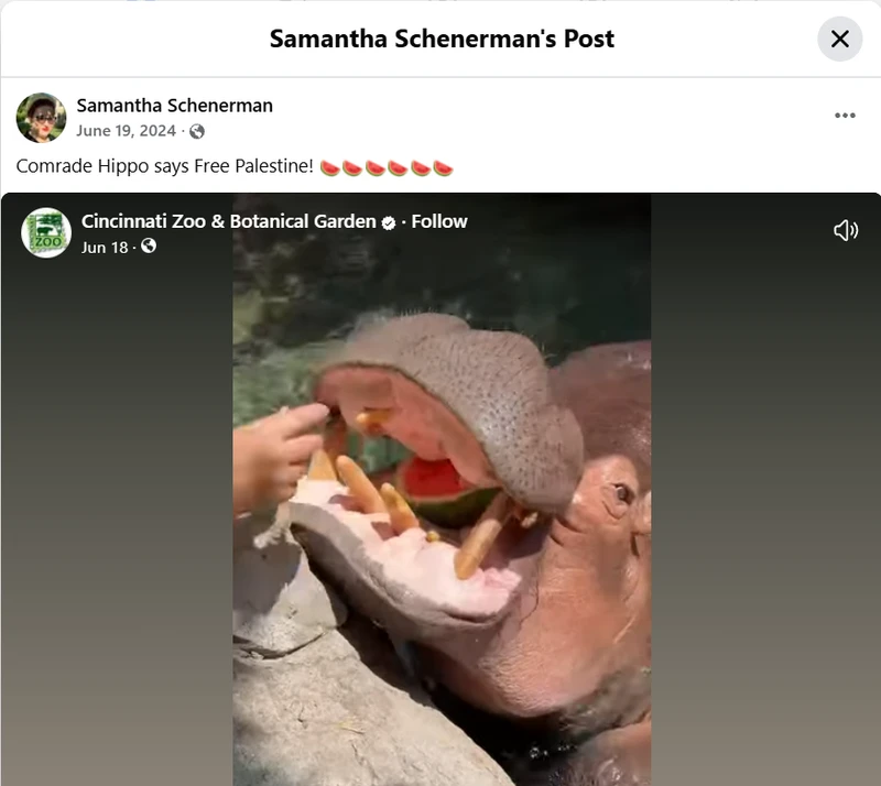 Samantha_Schenerman_Jun_19_2024_Facebook.png_#3
