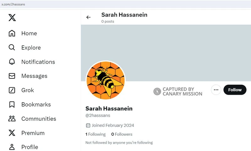 Sarah Hassanein_#13