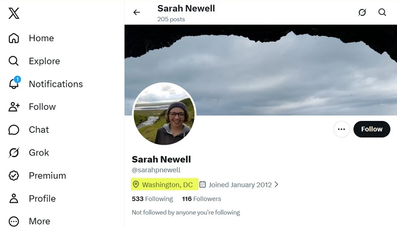 Sarah Newell_#3