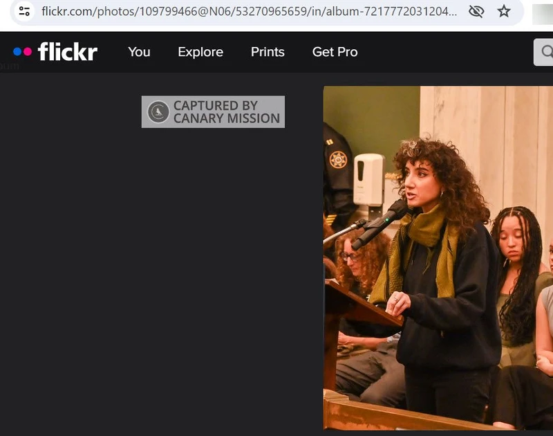 Sarah Trad cm03 flickr.com_#5