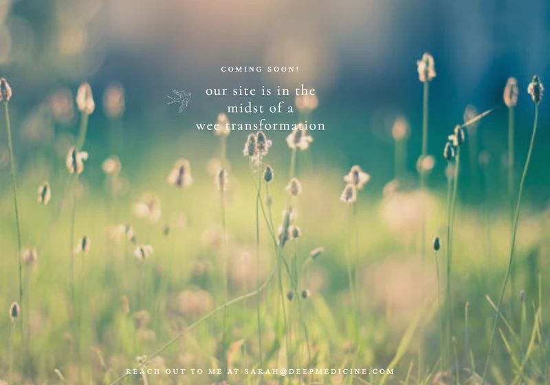 Sarah_Van_Hoy_Jun_1_2026_deepmedicine.com.png_#16