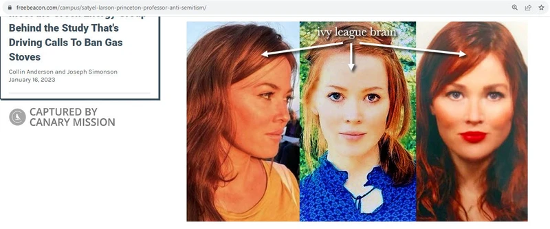 Saytel Larson cm01 freebeacon.com_#1