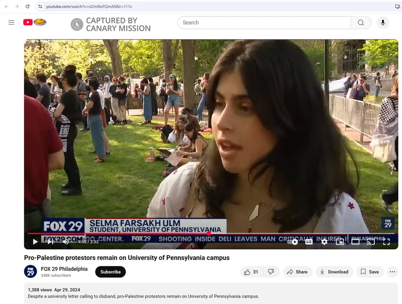 Selma Farsakh Ulm_#1