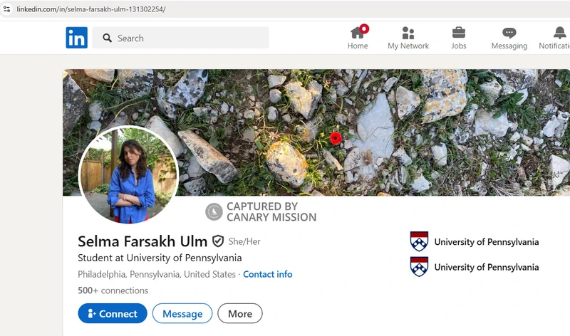 Selma Farsakh Ulm_#2