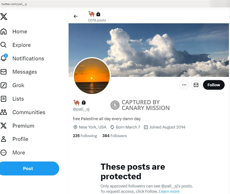 Sereen_El_Jamal_cm27b_Twitter_Mar_10_2024.jpg_#30