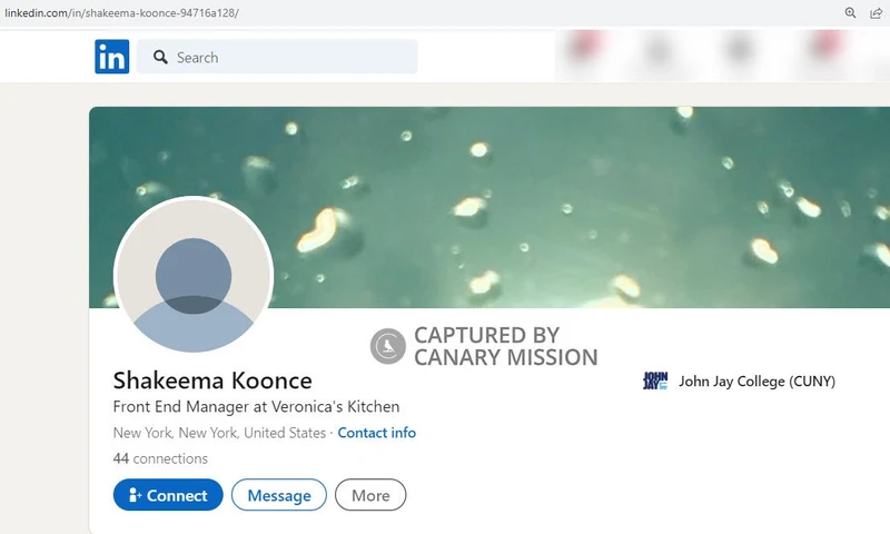 Shakeema Koonce cm09 LinkedIn_#10