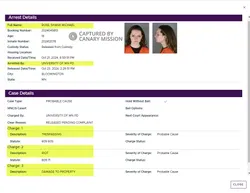 Shane_Michael_Ross_jailroster.hennepin.us.png