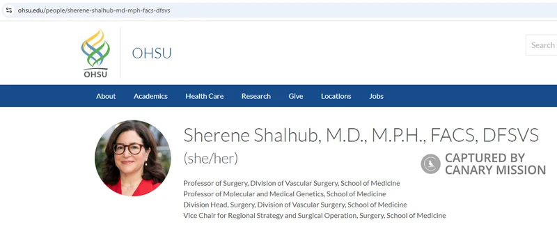 Sherene Shalhub_#7