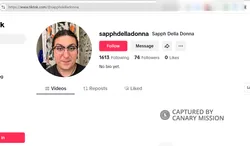 Snag_1d237fd.png