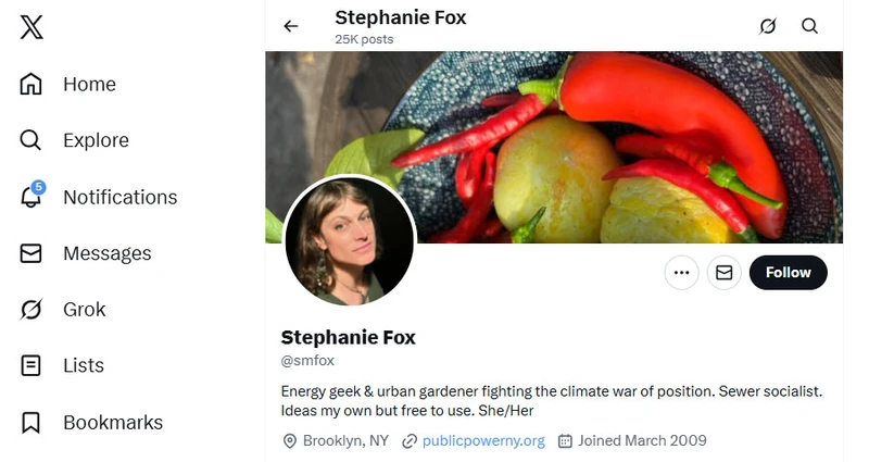 Stephanie_Fox_X.jpg _#1