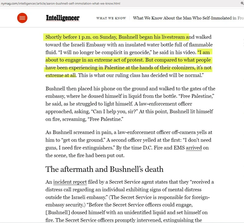 Steven Chun cm19c nymag.com_#29