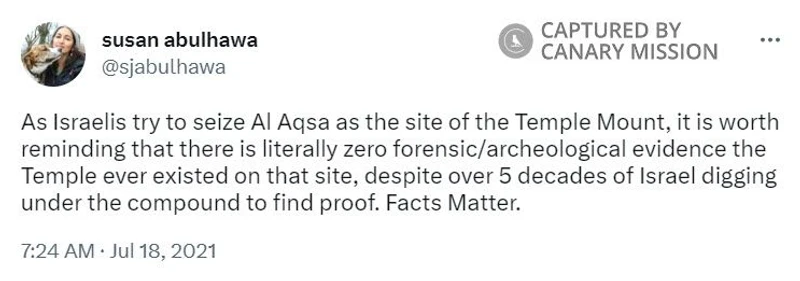 Susan Abulhawa cm42 Twitter_#52