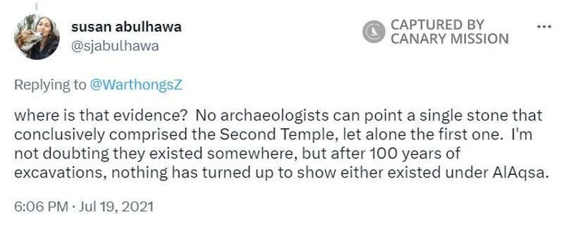 Susan Abulhawa cm43 Twitter_#53