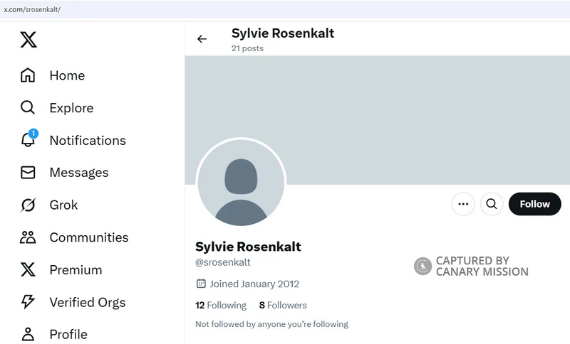 Sylvie Rosenkalt_#9