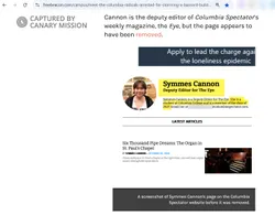 Symmes Cannon